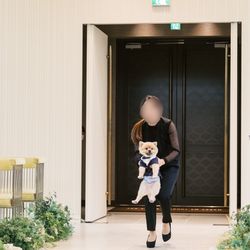 クアンティックの写真19枚目