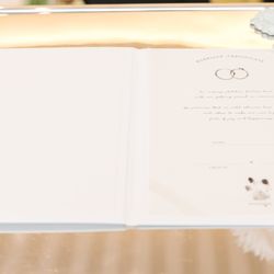 クアンティックの写真12枚目