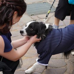 アメリカン・チャーチの写真1枚目
