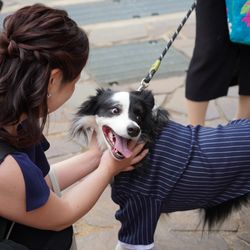 アメリカン・チャーチの写真2枚目