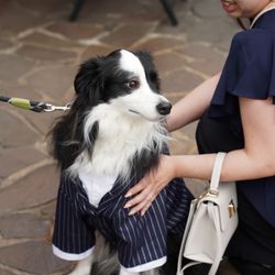 アメリカン・チャーチの写真29枚目