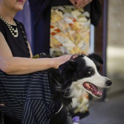 アメリカン・チャーチの写真2枚目