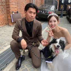 アメリカン・チャーチの写真28枚目