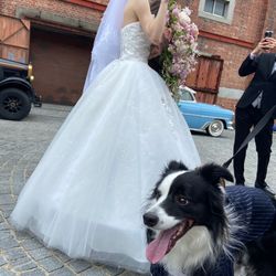 アメリカン・チャーチの写真2枚目