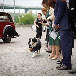 アメリカン・チャーチの写真17枚目