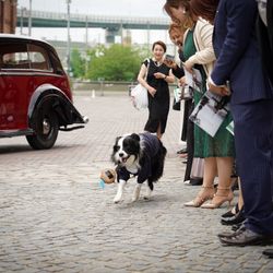 アメリカン・チャーチの写真35枚目