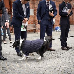 アメリカン・チャーチの写真23枚目