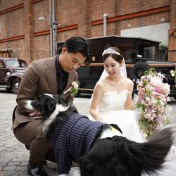 アメリカン・チャーチの写真18枚目