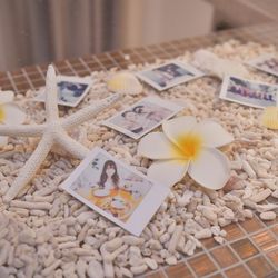 茅ヶ崎迎賓館の写真15枚目