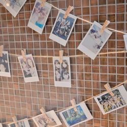 茅ヶ崎迎賓館の写真29枚目