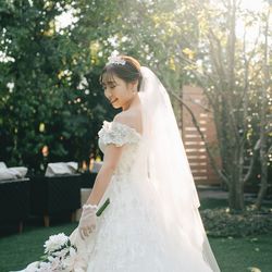 アコールハーブの写真1枚目