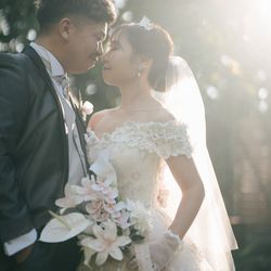 アコールハーブの写真23枚目