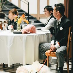 アコールハーブの写真20枚目