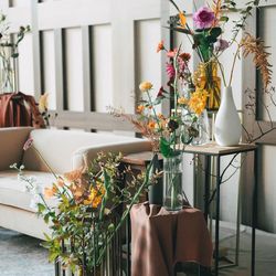 アコールハーブの写真34枚目