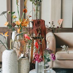 アコールハーブの写真24枚目