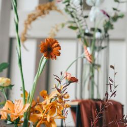 アコールハーブの写真17枚目