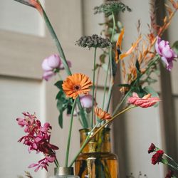 アコールハーブの写真30枚目