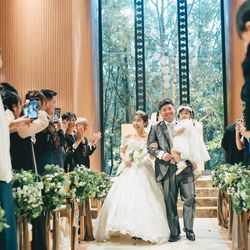 アコールハーブの写真24枚目