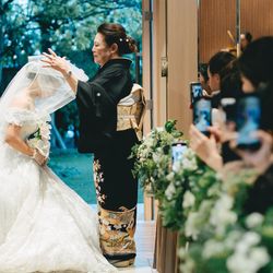 アコールハーブの写真8枚目