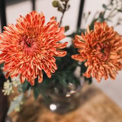 宮の森フランセス教会の写真22枚目