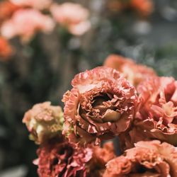 宮の森フランセス教会の写真25枚目