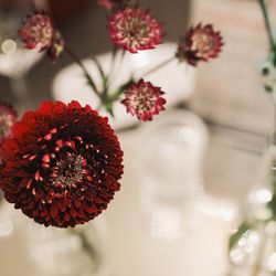 宮の森フランセス教会の写真32枚目