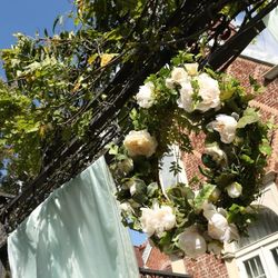 キャメロットヒルズの写真34枚目