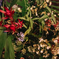 ザ ナンザンハウスの写真1枚目