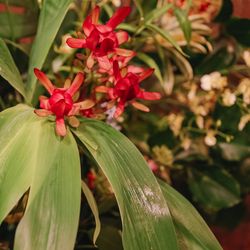 ザ ナンザンハウスの写真4枚目