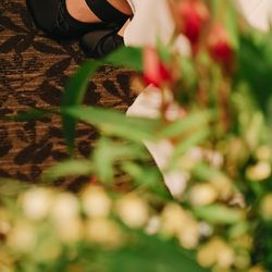 ザ ナンザンハウスの写真18枚目