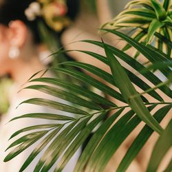 ザ ナンザンハウスの写真16枚目