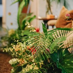 ザ ナンザンハウスの写真3枚目