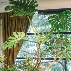 ザ ナンザンハウスの写真10枚目