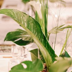 ザ ナンザンハウスの写真26枚目