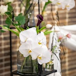 AILE d'ANGE NAGOYAの写真28枚目