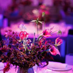 パレスホテル東京の写真29枚目