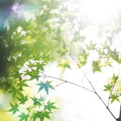 ザ ソウドウ 東山 京都の写真2枚目