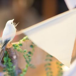 ザ ソウドウ 東山 京都の写真22枚目