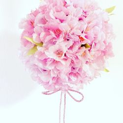 ザ ソウドウ 東山 京都の写真18枚目