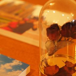 ラポールの写真1枚目