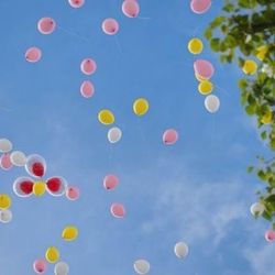 ラポールの写真25枚目