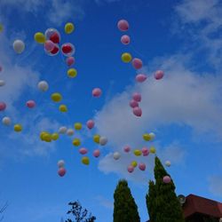 ラポールの写真19枚目