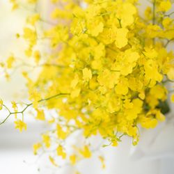 THE SORAKUEN の写真13枚目