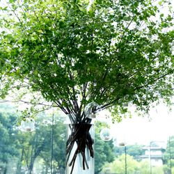 パレスホテル東京の写真4枚目