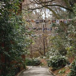 鶴見ノ森 迎賓館の写真27枚目