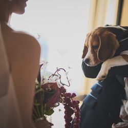 キンプトン新宿東京の写真25枚目