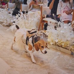 キンプトン新宿東京の写真10枚目