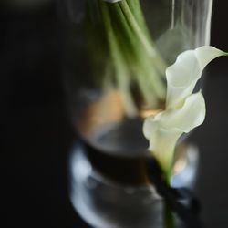 キンプトン新宿東京の写真10枚目