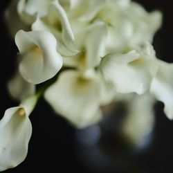 キンプトン新宿東京の写真11枚目