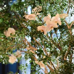 キンプトン新宿東京の写真12枚目